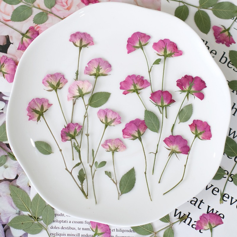 12pcs,Real Mini Rose Pressed F – обзор и цена Resin Art Rose Petals