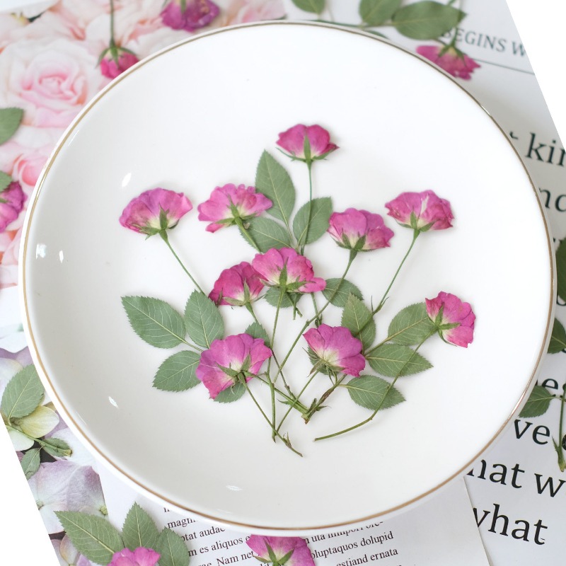 12pcs,Real Mini Rose Pressed F – обзор и цена Resin Art Rose Petals