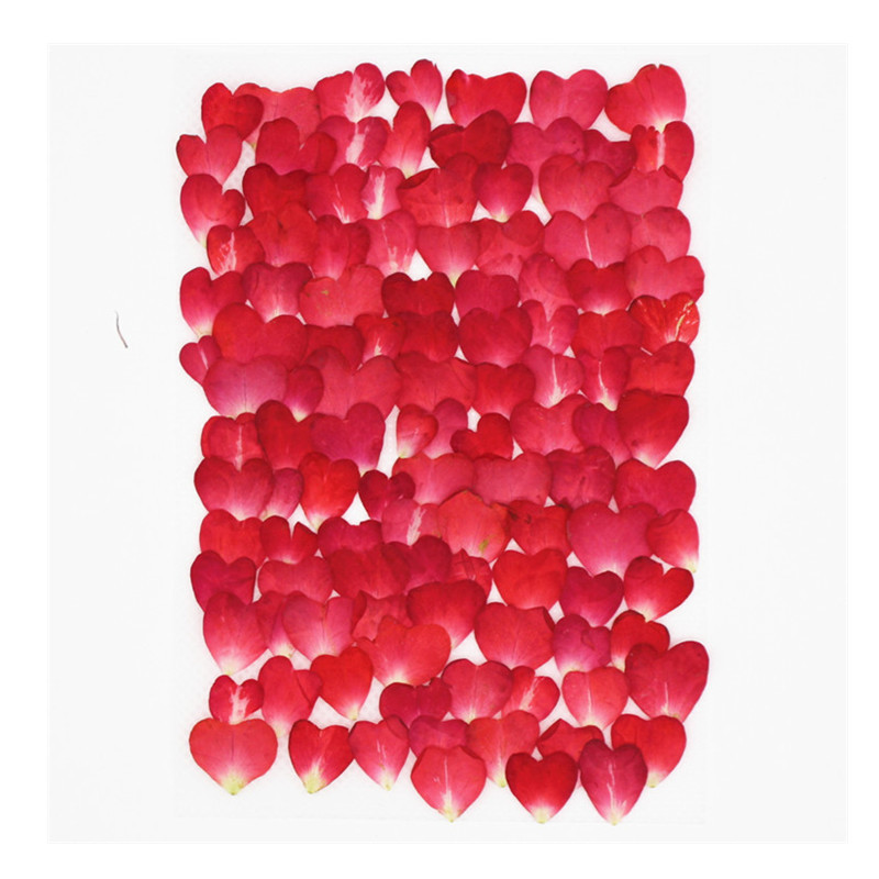 120Pcs Rose Petals Mixed Pack, – обзор и цена Resin Art Rose Petals