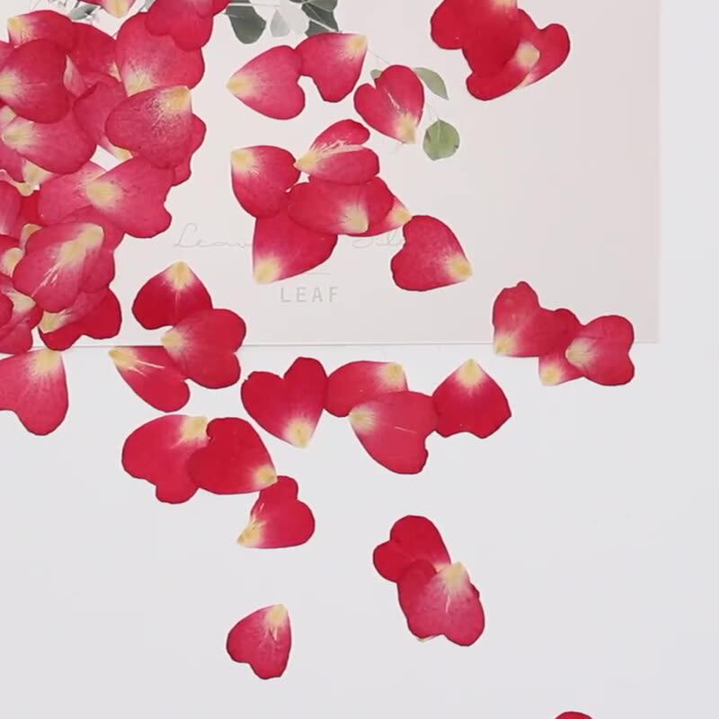 120Pcs Rose Petals Mixed Pack, – обзор и цена Resin Art Rose Petals