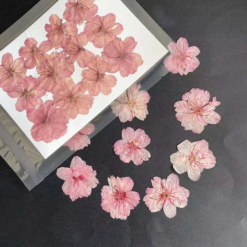3-4.5CM/24PC Real Natural Drie – обзор и цена Resin Art Rose Petals