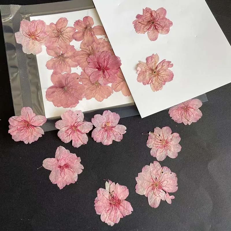 3-4.5CM/24PC Real Natural Drie – обзор и цена Resin Art Rose Petals