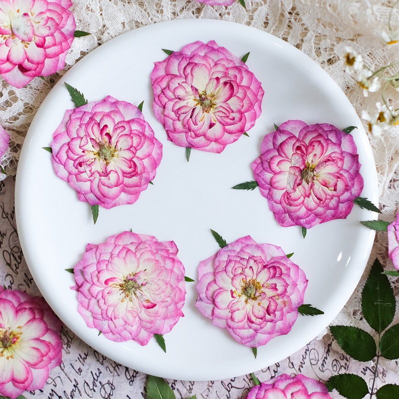 6pcs,Natural Rose Lotus Presse – обзор и цена Resin Art Rose Petals