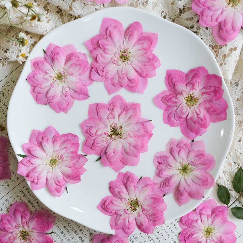 6pcs,Natural Rose Lotus Presse – обзор и цена Resin Art Rose Petals